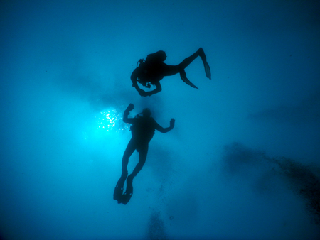 Diving Mediterraneanの写真素材