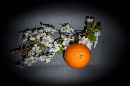 Sweet ripe orange on a black surface and black backgroundの写真素材
