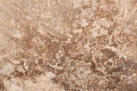 Scary beige wall texture with scratches and cracks.の写真素材