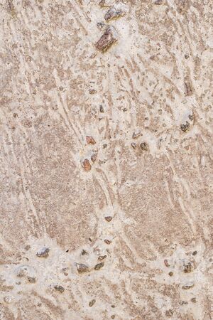 Scary beige wall texture with scratches and cracks.の写真素材