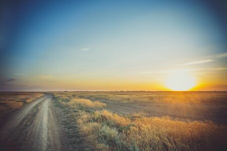 Wheat field sunset and road
