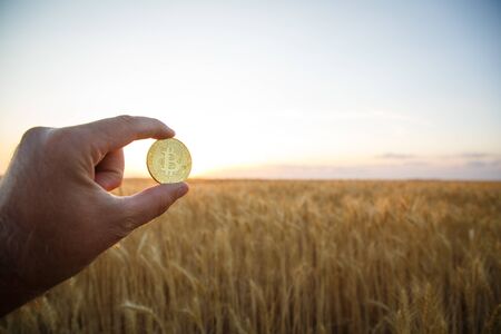 Golden bitcoin in hand at sunsetの写真素材
