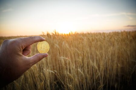 Golden bitcoin in man's hand at sunset