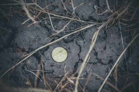 Gold Bitcoin Coin on Earthの写真素材
