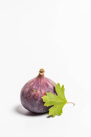 Ripe figs on a white backgroundの写真素材