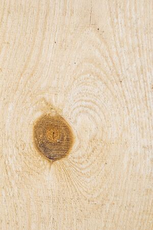 Light board texture closeの写真素材