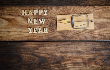 2020 year of rat, mouse and tasty cheeseの写真素材