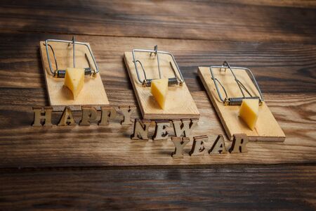 2020 year of rat, mouse and tasty cheeseの写真素材