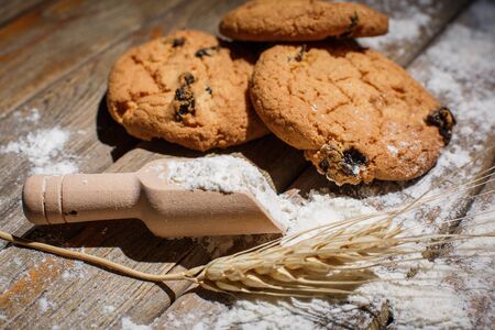Oatmeal cakes with raisins, flour and spikelets of wheat on a wooden brown surfaceの写真素材
