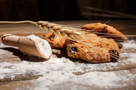 Oatmeal cakes with raisins, flour and spikelets of wheat on a wooden brown surfaceの写真素材