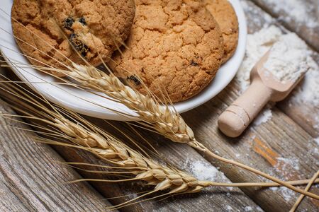 Oatmeal cakes with raisins, flour and spikelets of wheat on a wooden brown surfaceの写真素材
