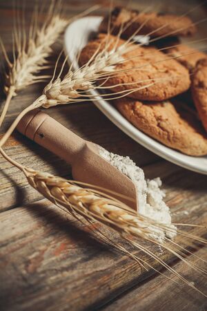 Oatmeal cakes with raisins, flour and spikelets of wheat on a wooden brown surfaceの写真素材