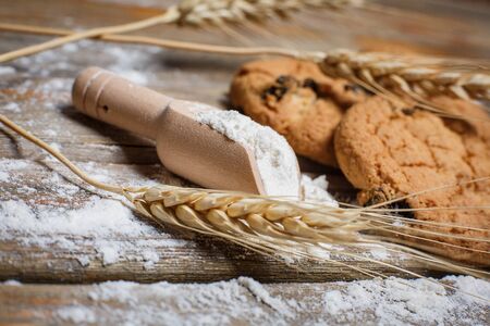 Oatmeal cakes with raisins, flour and spikelets of wheat on a wooden brown surfaceの写真素材