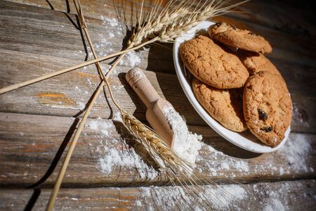 Oatmeal cakes with raisins, flour and spikelets of wheat on a wooden brown surfaceの写真素材