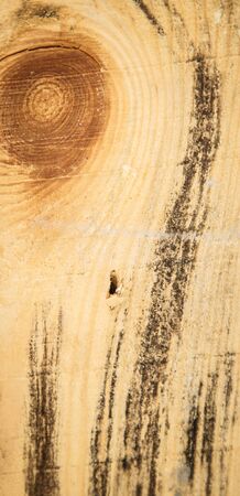 Texture of different old boards for vintage style.の写真素材