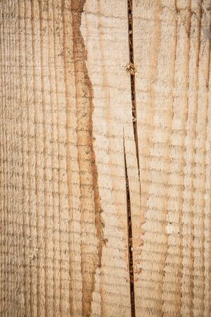 Texture of different old boards for vintage style.の写真素材