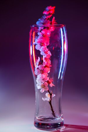 A branch with flowers in a beer glass in red and blue