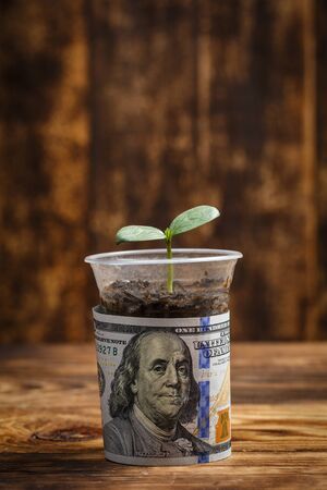 Big sprout grows in a plastic cup and one hundred dollars next to it on brown wooden backgroundの写真素材