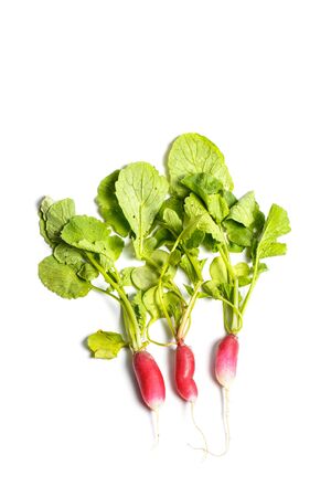Fresh radish on a white background, vegetarianismの写真素材