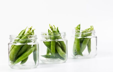 Ripe green peas on a white background, after assembly on the farm