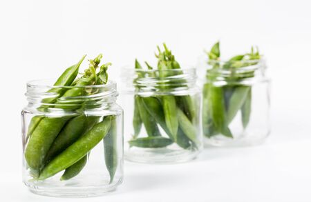 Ripe green peas on a white background, after assembly on the farmの写真素材