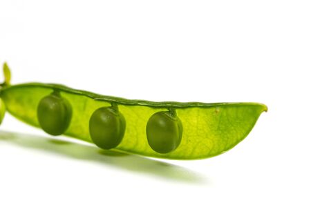 Ripe green peas on a white background, after assembly on the farmの写真素材