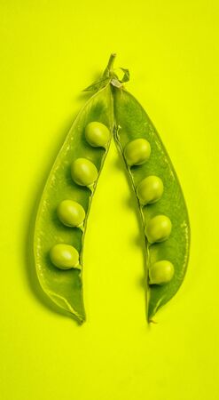Ripe green peas on a green backgroundの写真素材