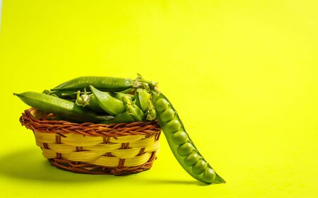Ripe green peas on a green backgroundの写真素材