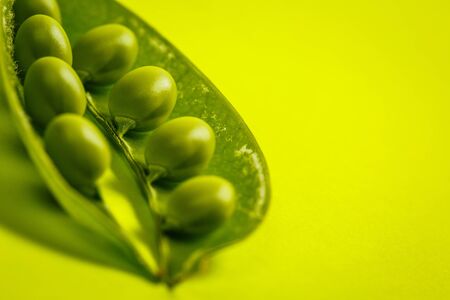 Ripe green peas on a green backgroundの写真素材