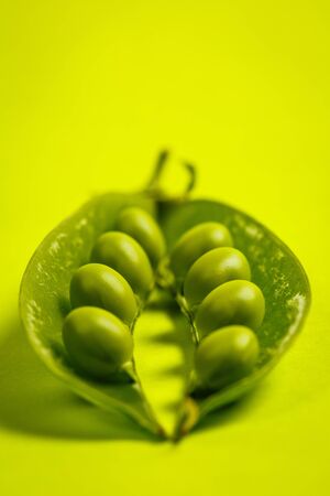 Ripe green peas on a green backgroundの写真素材