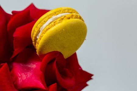 Tasty macaroon cookies and red rose on a white backgroundの写真素材