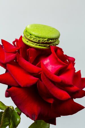 Tasty macaroon cookies and red rose on a white backgroundの写真素材