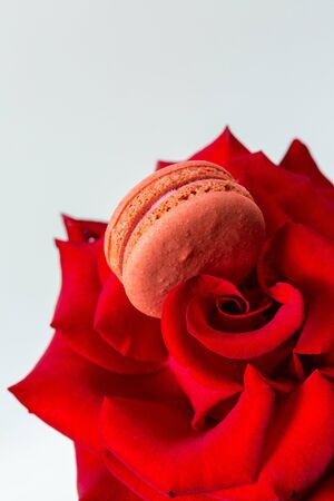 Tasty macaroon cookies and red rose on a white backgroundの写真素材