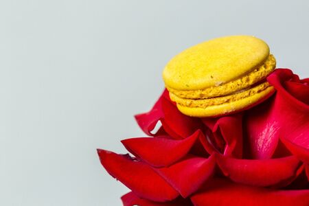 Tasty macaroon cookies and red rose on a white backgroundの写真素材