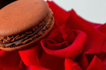 Tasty macaroon cookies and red rose on a white backgroundの写真素材
