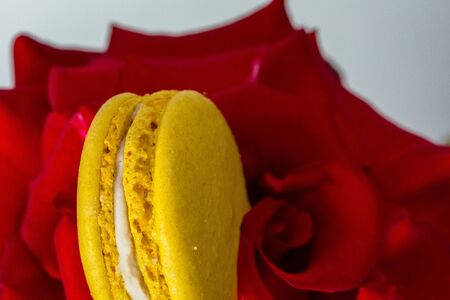 Tasty macaroon cookies and red rose on a white backgroundの写真素材