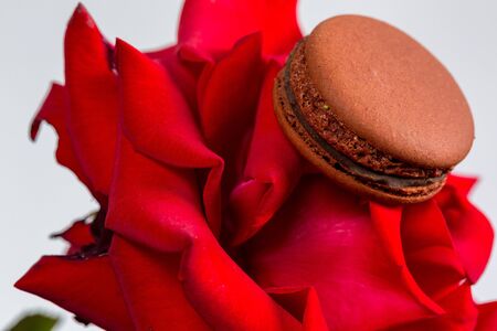 Tasty macaroon cookies and red rose on a white backgroundの写真素材