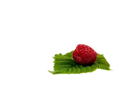 Fresh red raspberries and green leaf on a white backgroundの写真素材