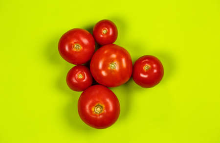Ripe red tomatoes for salad on a green backgroundの写真素材