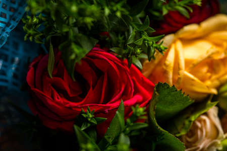 Bouquet of roses of different colors closeの写真素材