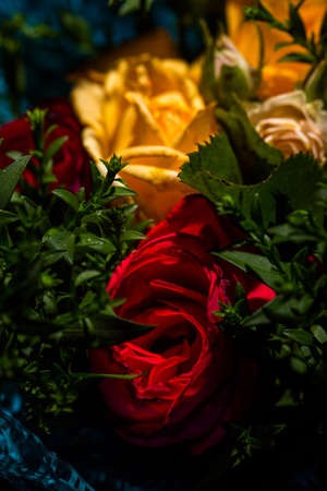 Bouquet of roses of different colors closeの写真素材