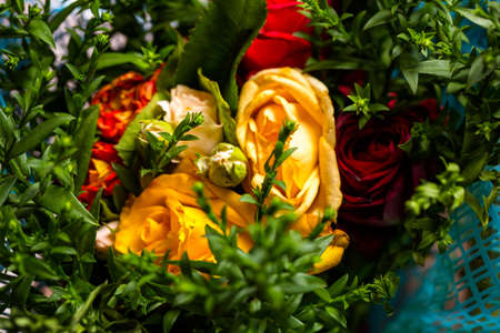 Bouquet of roses of different colors closeの写真素材