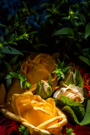 Bouquet of roses of different colors closeの写真素材