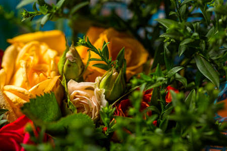 Bouquet of roses of different colors closeの写真素材