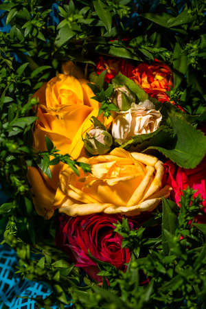 Bouquet of roses of different colors closeの写真素材