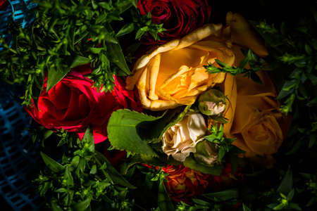 Bouquet of roses of different colors closeの写真素材