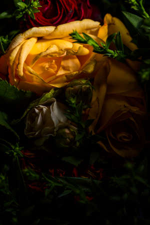 Bouquet of roses of different colors closeの写真素材
