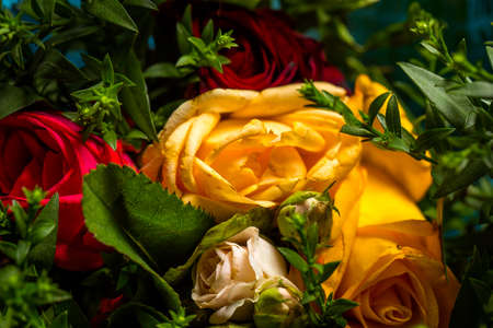 Bouquet of roses of different colors closeの写真素材