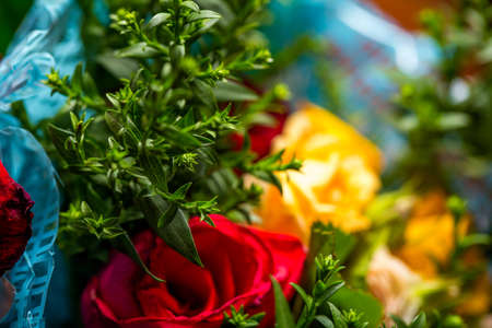 Bouquet of roses of different colors closeの写真素材
