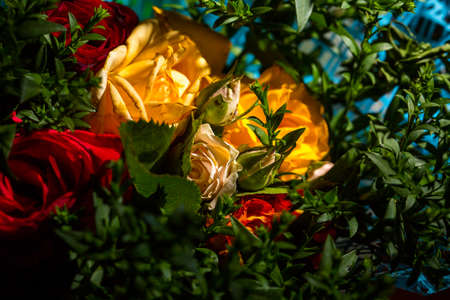 Bouquet of roses of different colors closeの写真素材